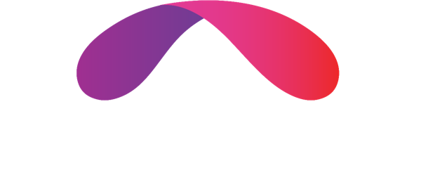 Bridge Experience
